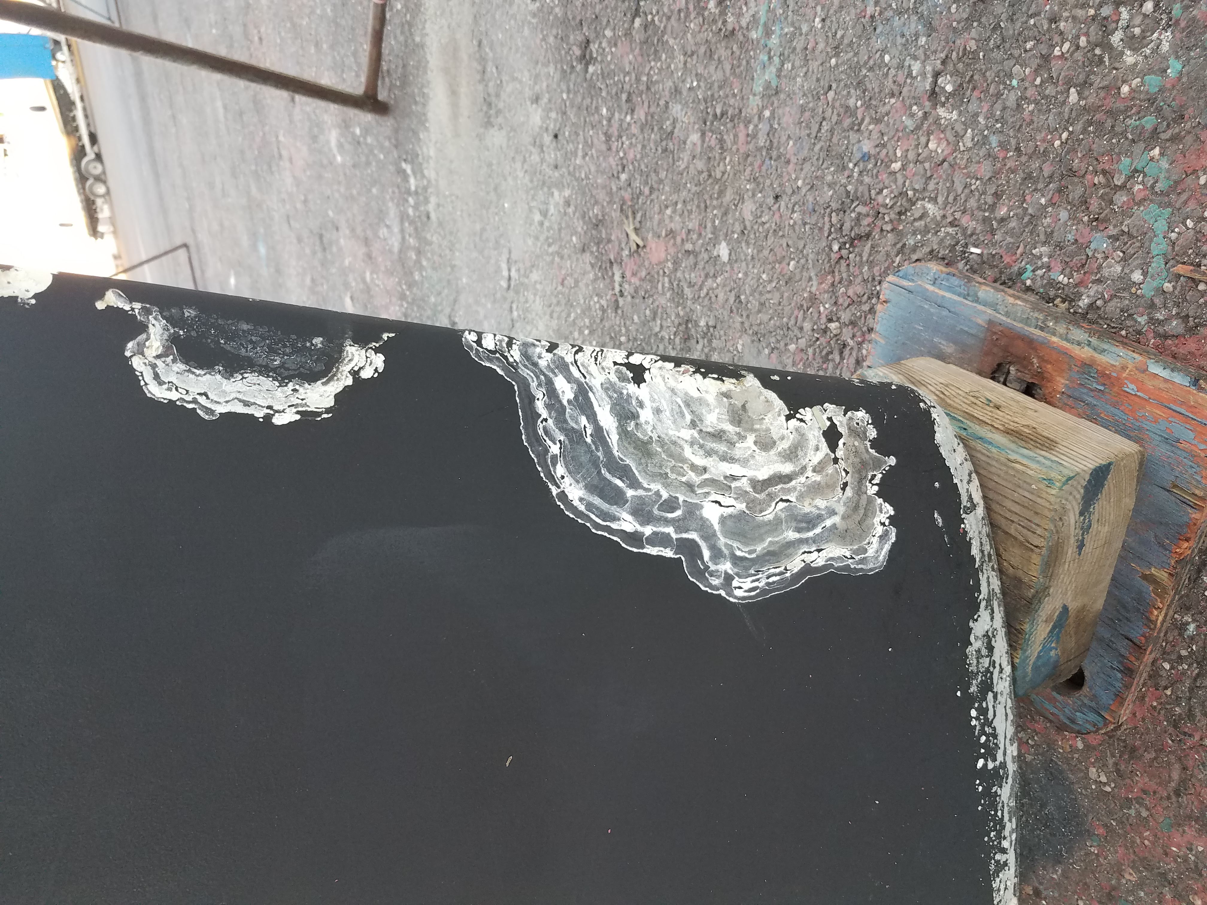 20191028_173245.jpg